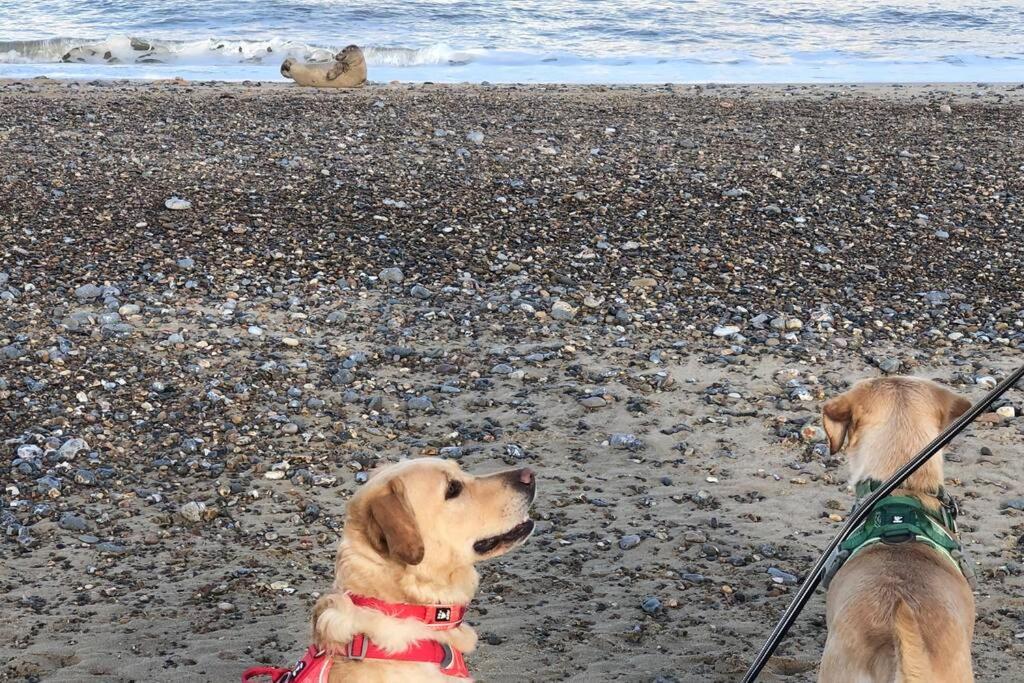 Dog Friendly Cottage 2 Mins To Beach With Hot Tub And Zappi Ev Lessingham 외부 사진