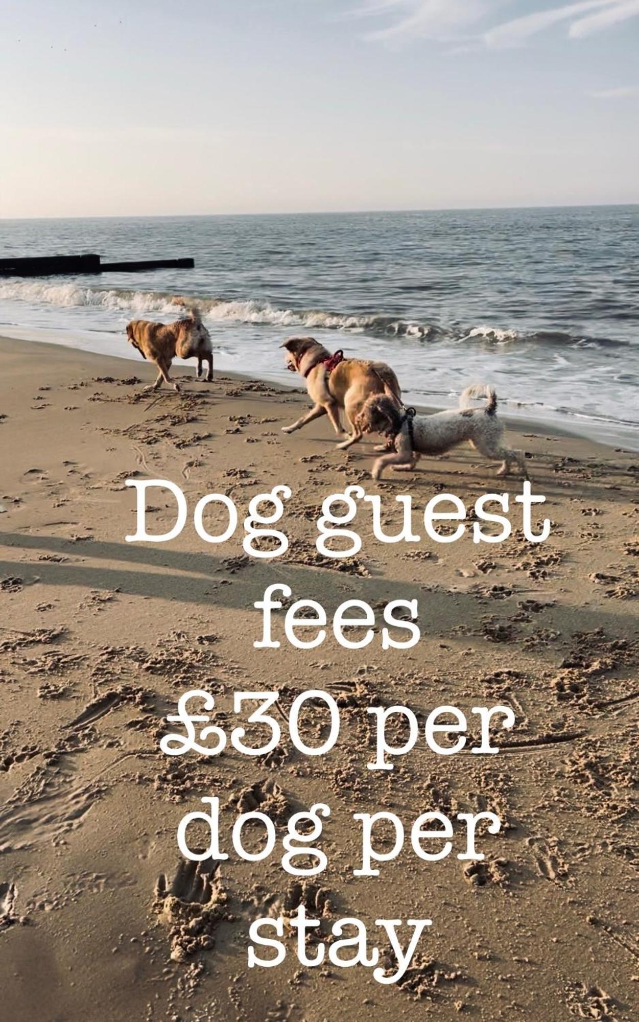 Dog Friendly Cottage 2 Mins To Beach With Hot Tub And Zappi Ev Lessingham 외부 사진